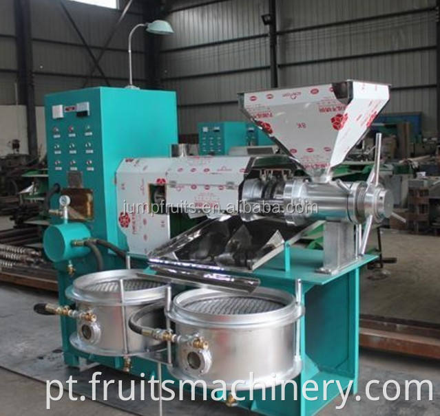 Walnut Kernel Oil Processing Machine Oil Press Machine